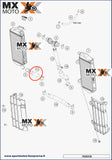 Mangueira Inferior do Radiador Lado Direito Original KTM 2T EXC / TPi  20 a 23 - Husqvarna 2T TE/TX 250 / 300 2020 a 2023 - Gas Gas 2T EC/EX/MC 250/300 21 a 23 - 55535027000