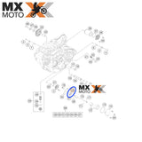 Rotor da Bomba De Oleo 12mm G-95R/003 Original KTM 250,350,450,500,525,540,560 2000 a 2016 - Husqvarna 250 a 501 14 a 16 - Husaberg 350,450,501 2013 - 59038011012