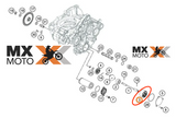 Rotor ( PU ) da Bomba De Oleo 22mm Original KTM 4T 250 e 350 2011 a 2023 - Husqvarna 4T 250 a 501 2014 a 2023 - GasGas 4T 250 e 350 2021 a 2023 - Husaberg 350 e 501 13 e 14 - 61238111000